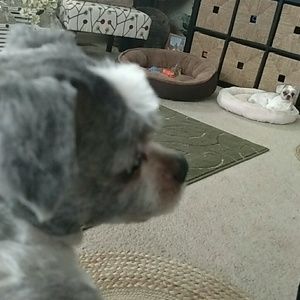 Meet your Posher, Kado